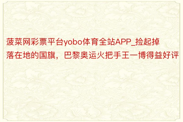 菠菜网彩票平台yobo体育全站APP_捡起掉落在地的国旗，巴黎奥运火把手王一博得益好评