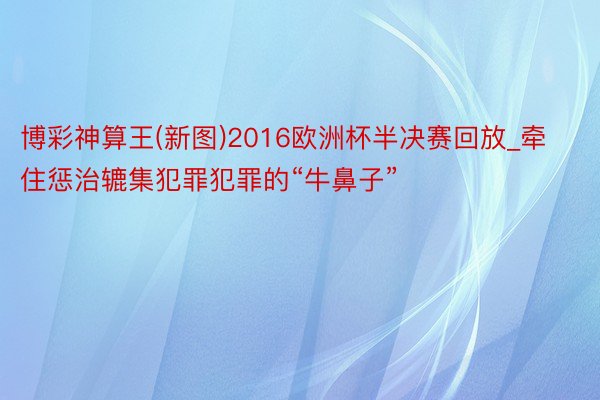 博彩神算王(新图)2016欧洲杯半决赛回放_牵住惩治辘集犯罪犯罪的“牛鼻子”